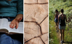 Día Mundial de la Poesía; Taller de Geoterapia y Retiro Detox en selva amazónica
