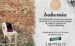 LEMON: AVANCES INVIERNO  `14: 3, 4 y 5 de enero